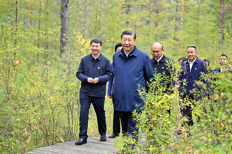 9月6日至8日，中共中央總書記、國家主席、中央軍委主席習近平在黑龍江考察。這是6日下午，習近平在大興安嶺地區(qū)漠河市漠河林場自然林區(qū)考察